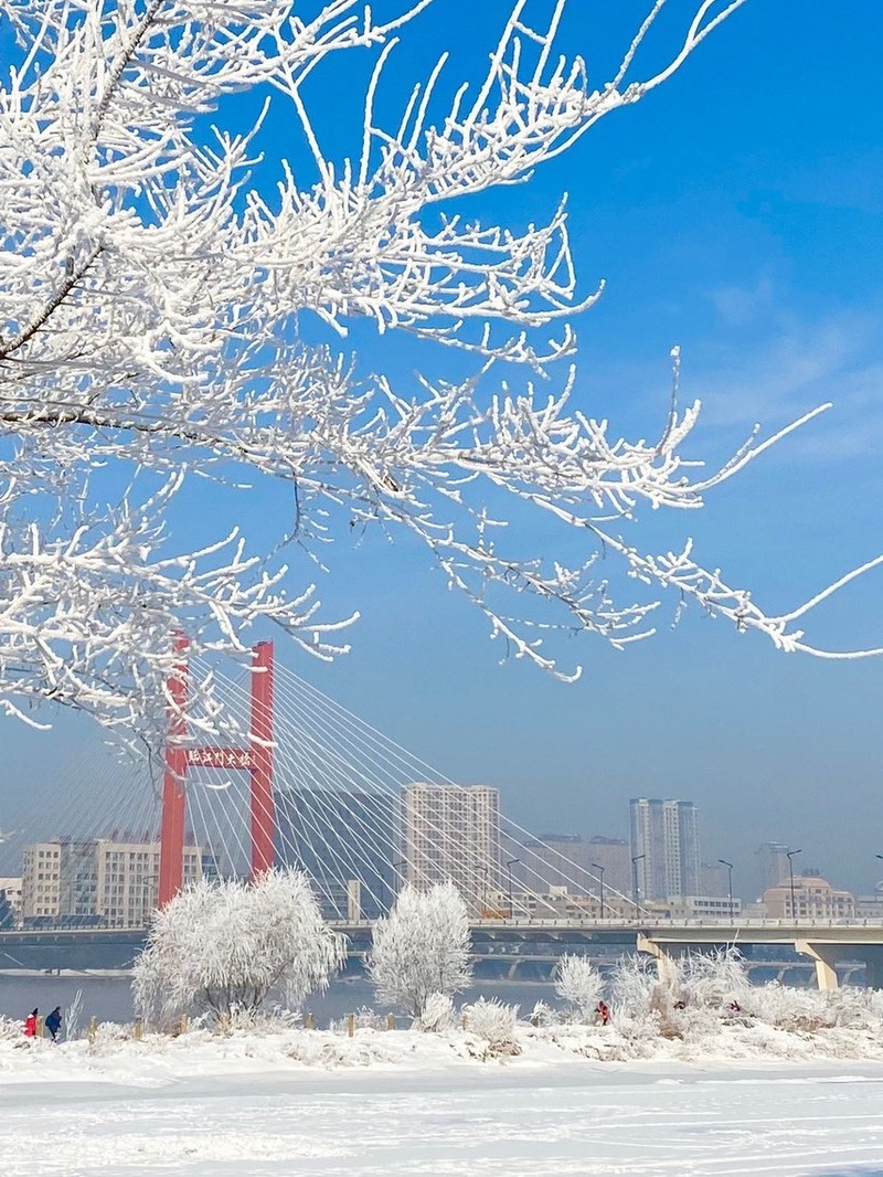 吉林，转型发展之路，机遇与挑战并存