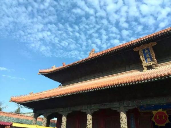 山东致敬，领导与同胞的共筑辉煌时刻